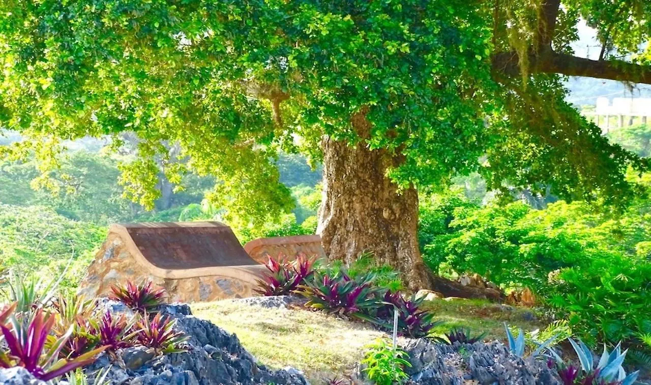 Las Galeras Village República Dominicana